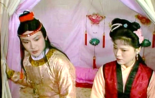 小小的*红院怡**，藏了一部甄嬛传，宝玉不认识林红玉就是明证