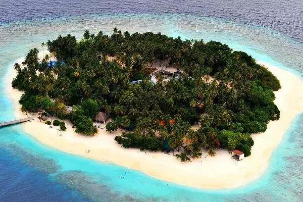 尼古拉斯凯奇演的什么魔法师,尼古拉斯凯奇是什么才子