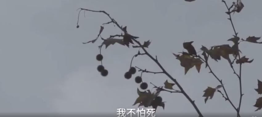 癌症死于过度治疗是真的吗,癌症患者如何避免陷入过度治疗