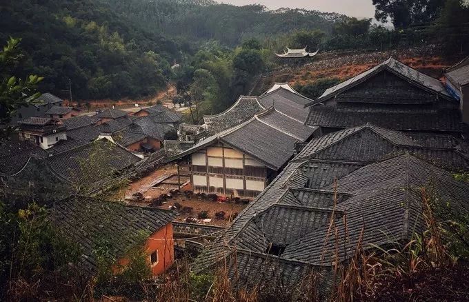 霞是光，浦是海：光与海的对话，吟唱出最美的滩涂