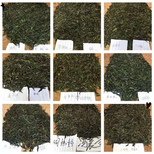 西湖职高师生到井牌茶叶开展线下企业实践课