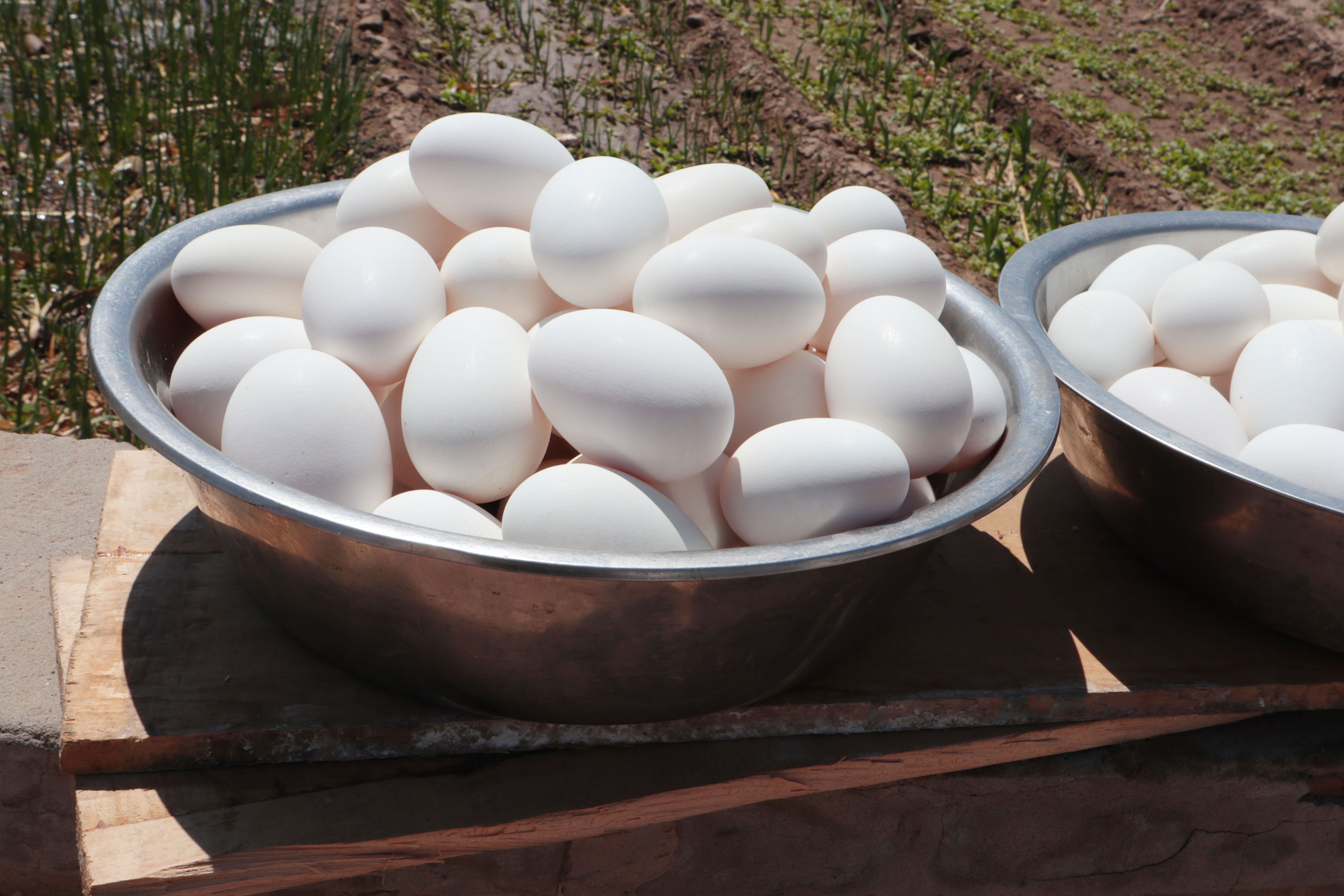 八十岁老人腌鸭蛋配方,80岁姥姥和外甥腌鸡蛋