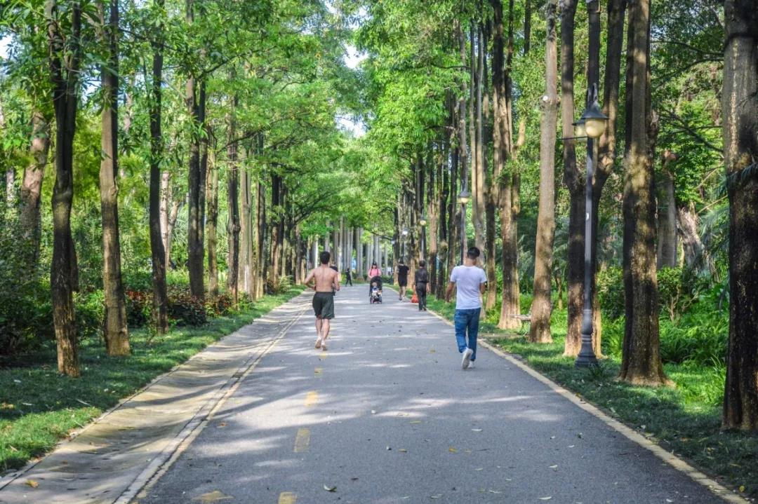 深圳遛娃必去的50个主题公园,深圳亲子游十佳去处免费