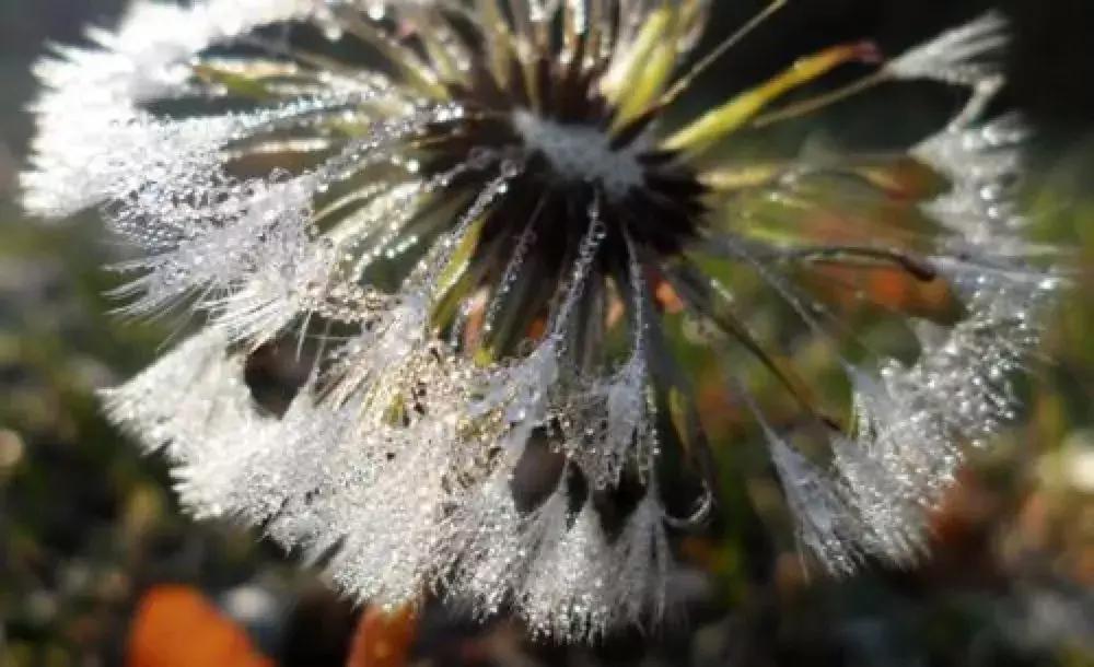 立冬已至冻手冻脚的季节到了,冻手冻脚的季节又到了该怎么熬过