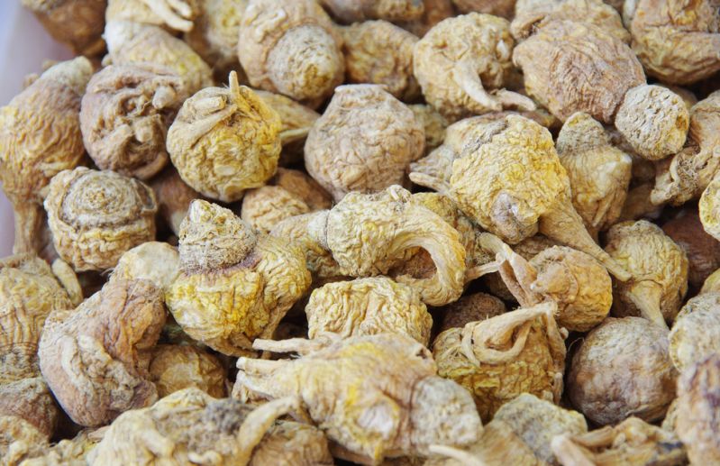 藏红花是打胎的药吗,藏红花和麝香哪个打胎好