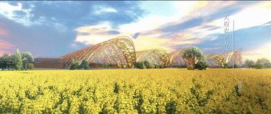 2020年脑洞大开的创业项目,成都脑洞大开