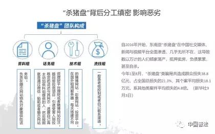 法治热点案例最新,最新法治热点事件