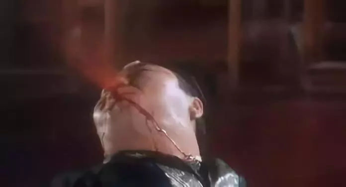 为什么人人都讨厌蚊子,为什么人人都讨厌绿茶