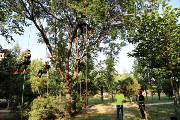 有趣的大学课程有哪些,你家大学有哪些课程