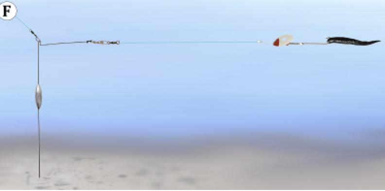 路亚滑漂搓饵钓各种各样大鱼,路亚无铅钓组钓大水面