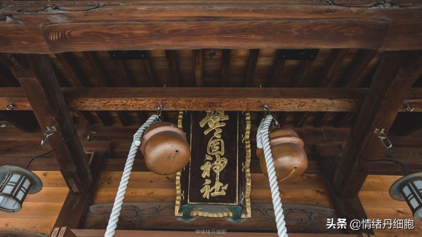 邮轮游选择哪个游轮好,邮轮旅游全攻略公主号