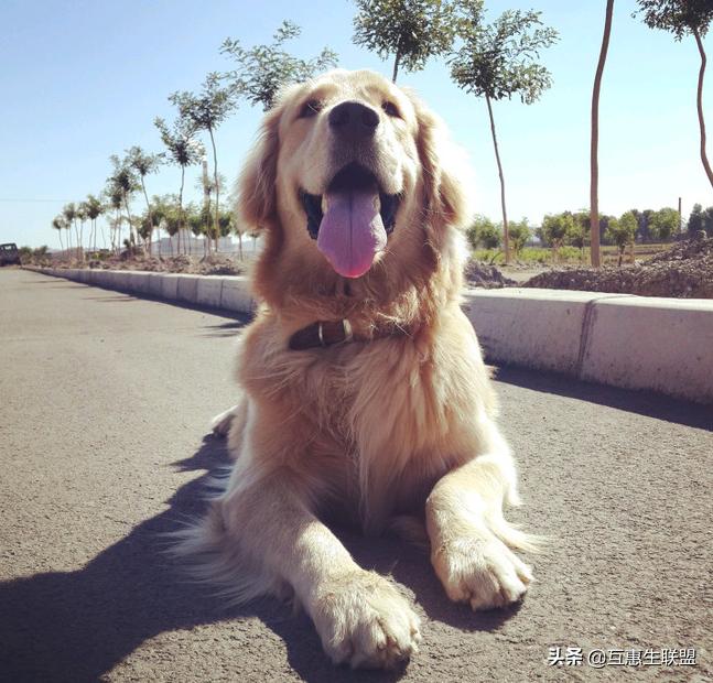 互惠生签证需要买返程机票吗,互惠生去美国可靠吗