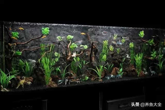 养鱼的鱼缸家里没有怎么办,养鱼没地方放鱼缸