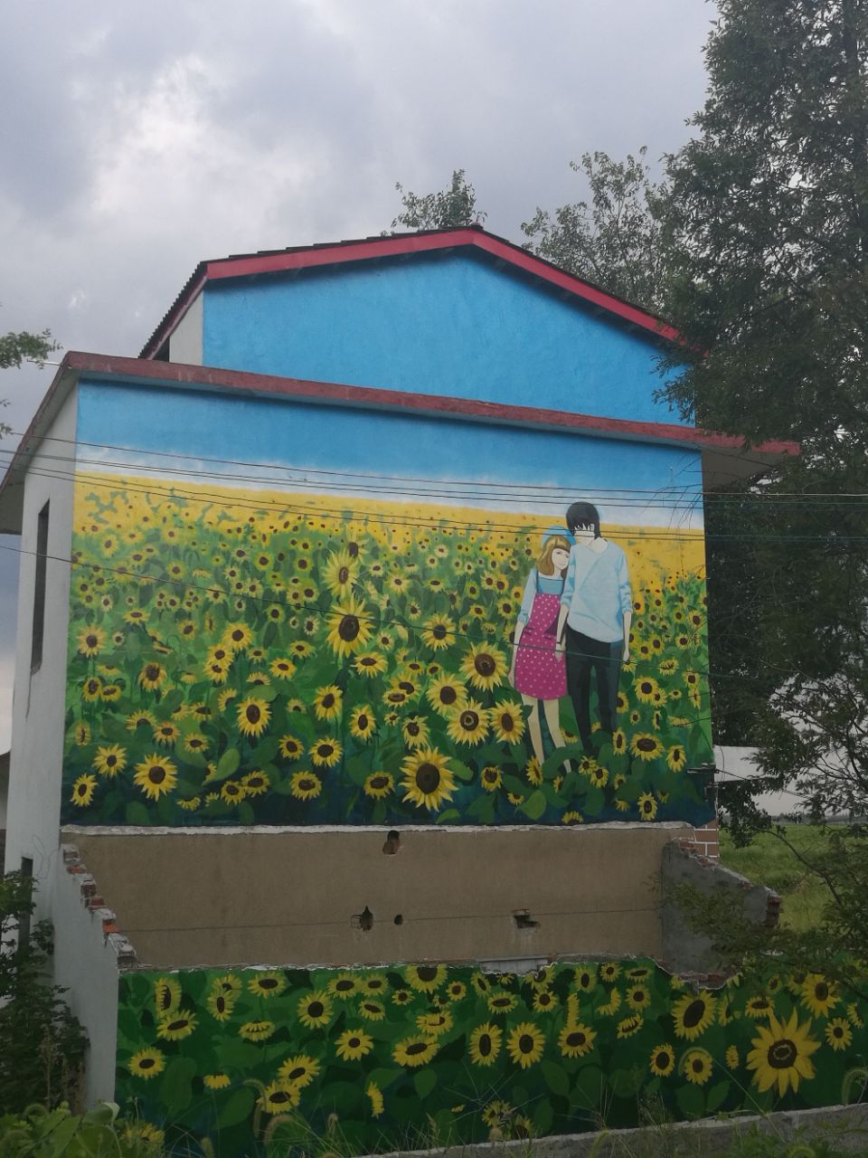 90后小伙种上百亩野果覆盆子,种植一年就可以挂果的蓝莓