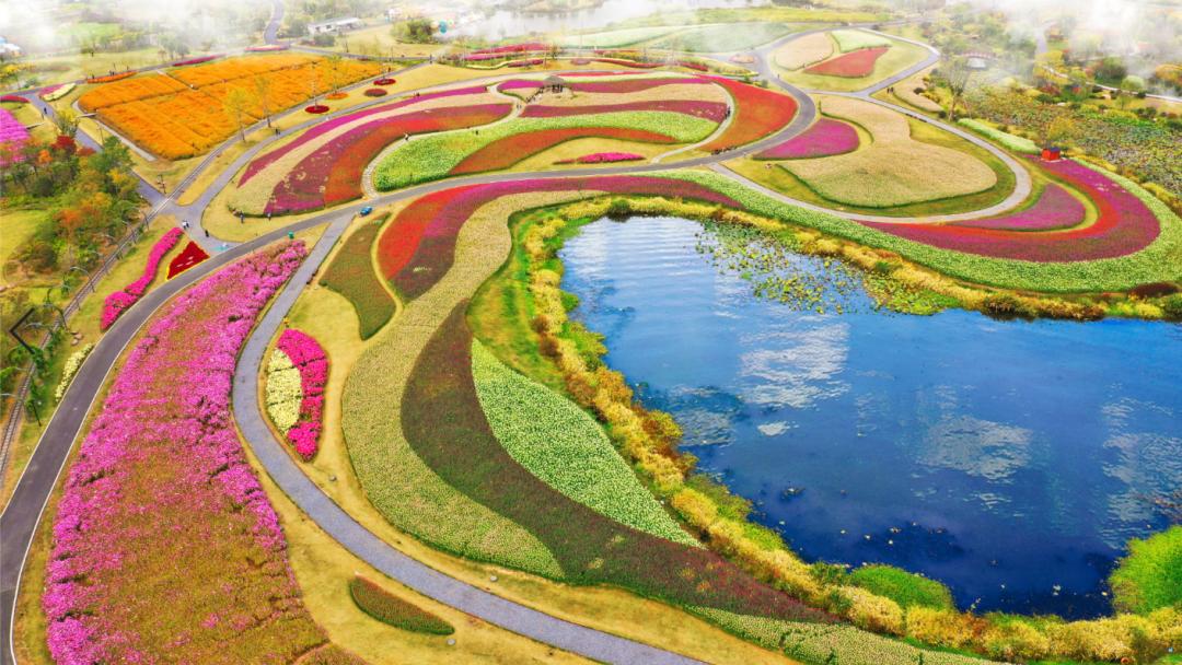 百家发布追寻奋斗百年路|传承红色历史,高水平建设创新余杭品质之区文明圣地!