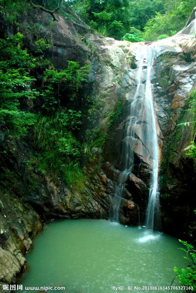 在没有道路或痕迹可循的深山密林中迷路了怎么办？