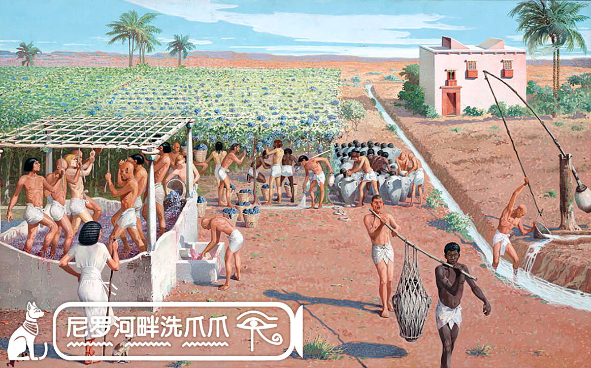 古埃及贵族,古埃及王室奢靡生活