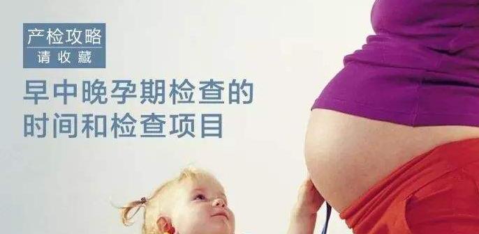 记录产检的收纳册,产检时间表及产检项目一览图片