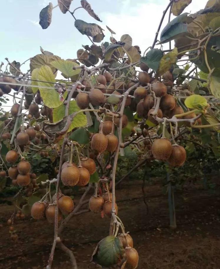 许昌八里沟跟团一日游,许昌五一八里沟一日游