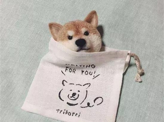 治愈系羊毛毡手工制作,毛毡手工diy大全