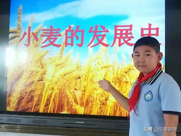 农耕科技研学旅行基地课程设计,农耕文化研学活动方案