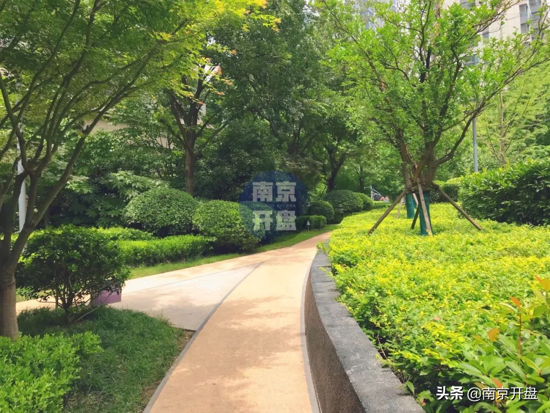 8.3万/㎡成交！今天实探仁恒次新房，实景美炸了