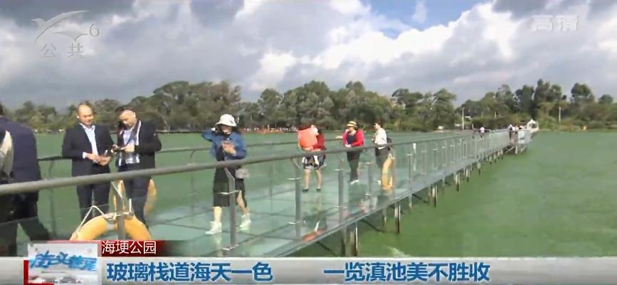 玻璃栈道昆明海埂公园新景点,云南滇池海埂公园玻璃栈道在哪里