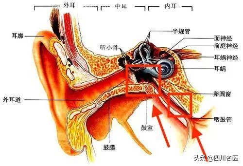 耳闷肯定是中耳炎吗,耳堵耳闷医生说不要管