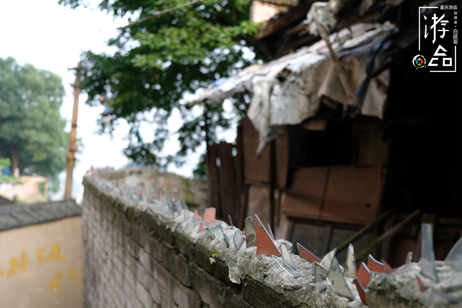 燕子岩重庆,重庆燕子岩风景区