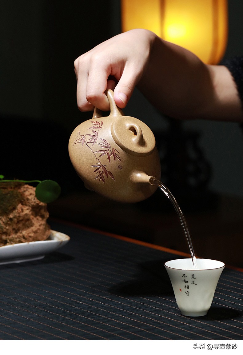 壶说人生,壶说茶道壶话人生完整版