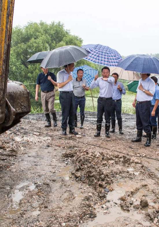 63厘米!16个昼夜!合肥是如何拼尽全力的?