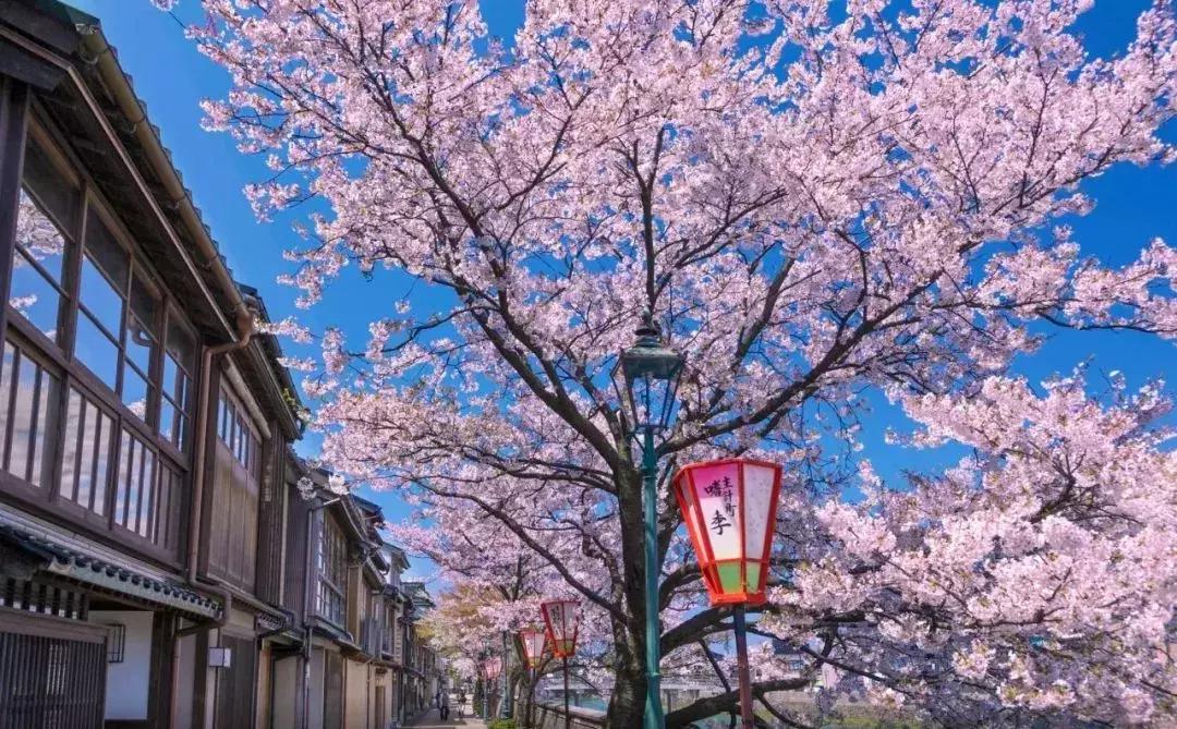 日本东京旅游攻略小众景点,日本东京小众旅游攻略