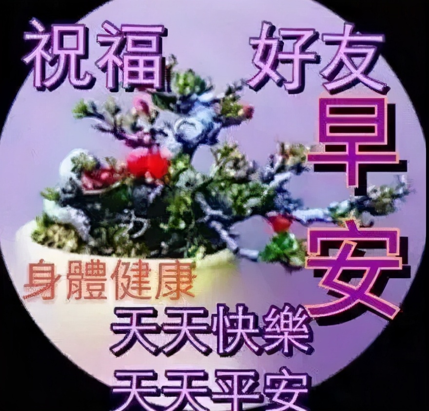 中老年表情包一切的美好源于早晨,中老年表情包活在当下且行且珍惜