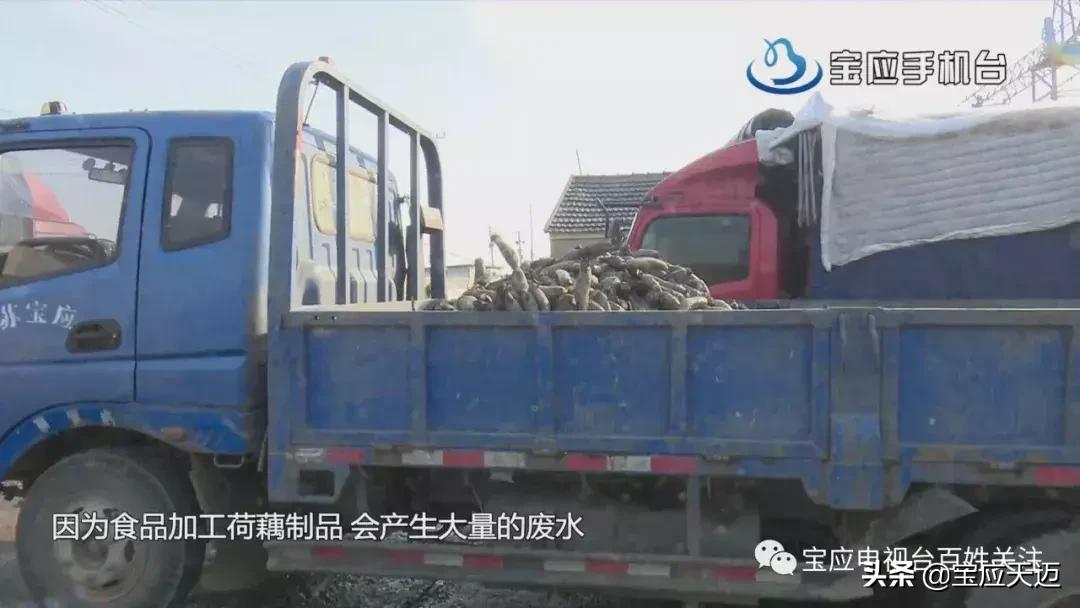 宝应广洋湖规划图,宝应射阳湖镇环保