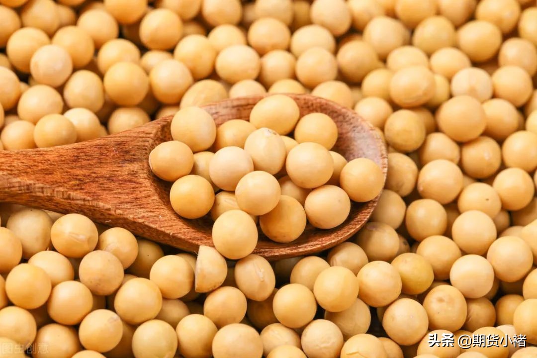 大豆进口量增多的原因,大豆进口增长