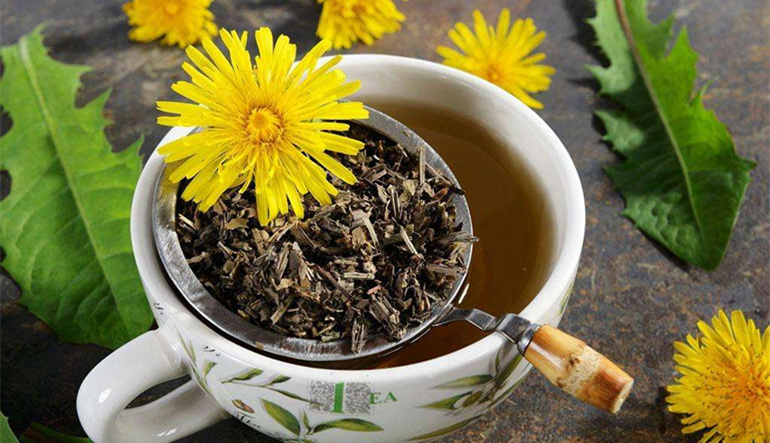 蒲公英和红茶泡水可以天天喝吗,长期喝蒲公英水有害还是有好处