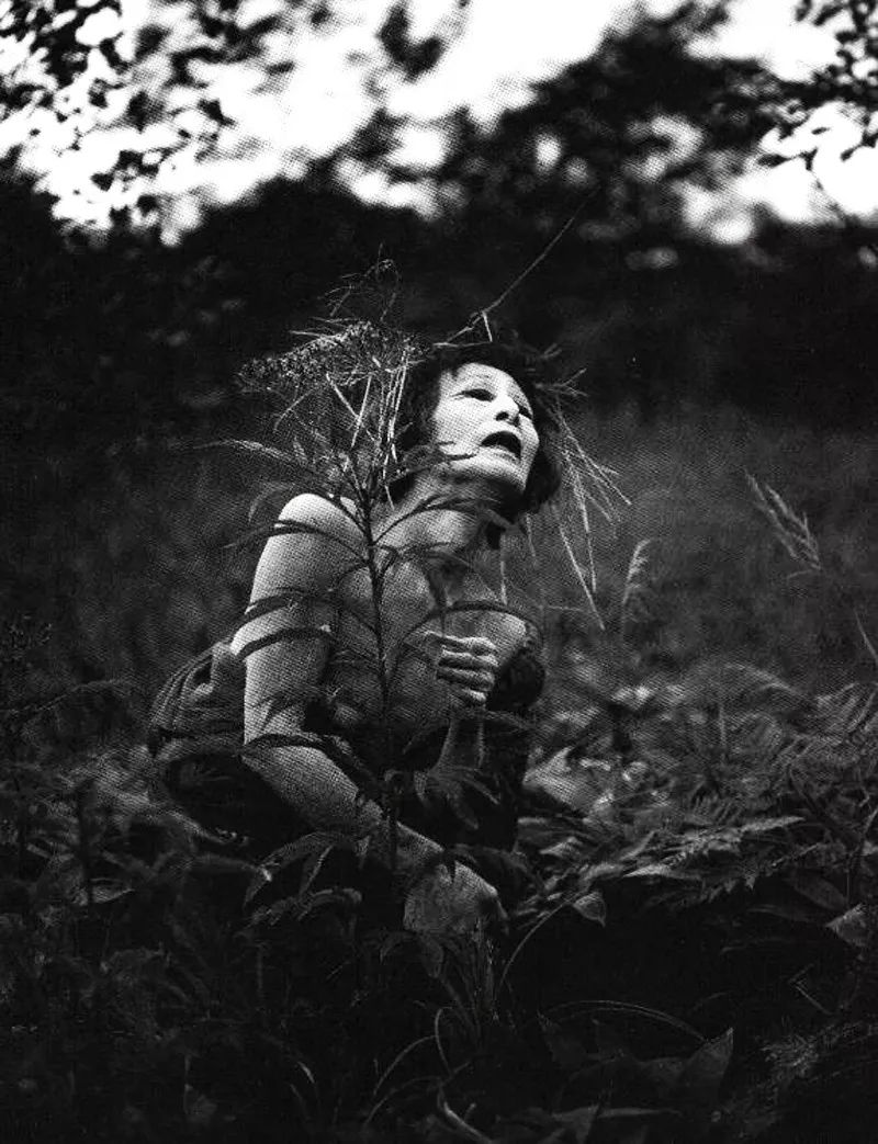 三岛由纪夫青年照,三岛由纪夫奔马图片