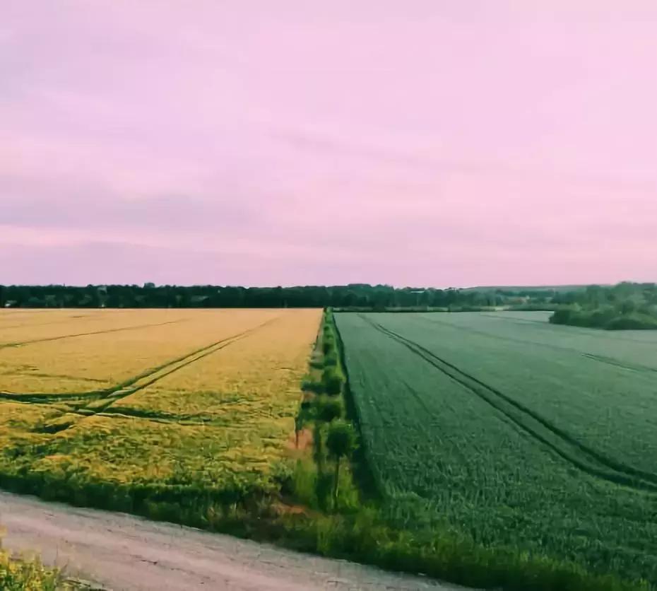 你的微信名暴露了你的层次,微信名早已暴露你的一切