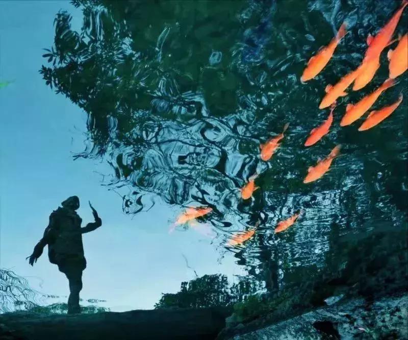 手机摄影好看的优秀作品,手机拍100个高逼格摄影作品