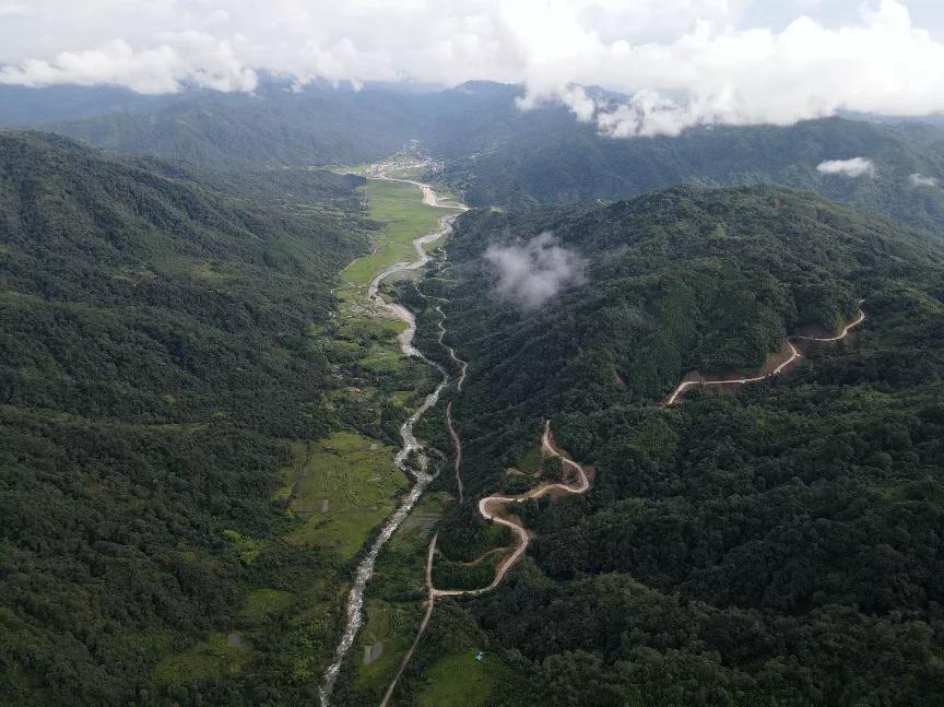 一群90后学霸，嚷嚷着要给它们找对象：自己单身不要紧