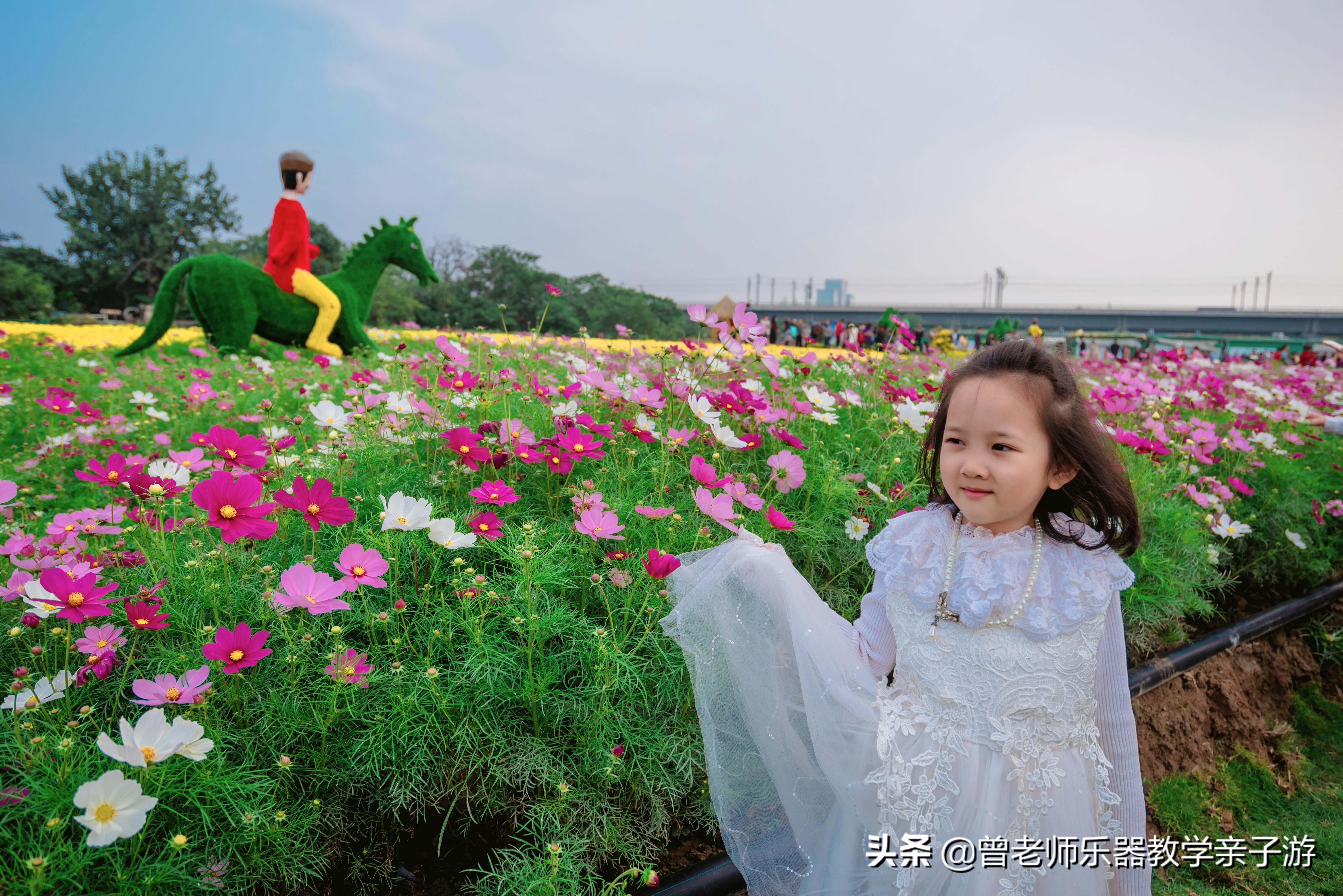 爱菊研学游,爱菊丝路文化菊花园西安