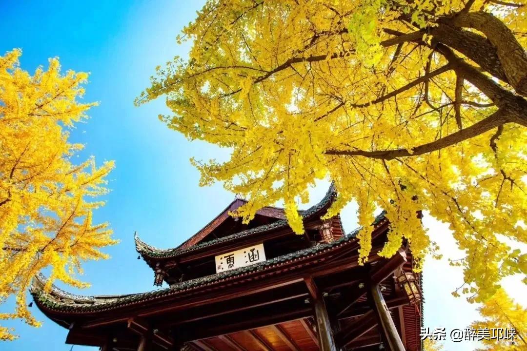 为什么有的人投资眼光很准,为什么越来越多的资本想投资酱酒