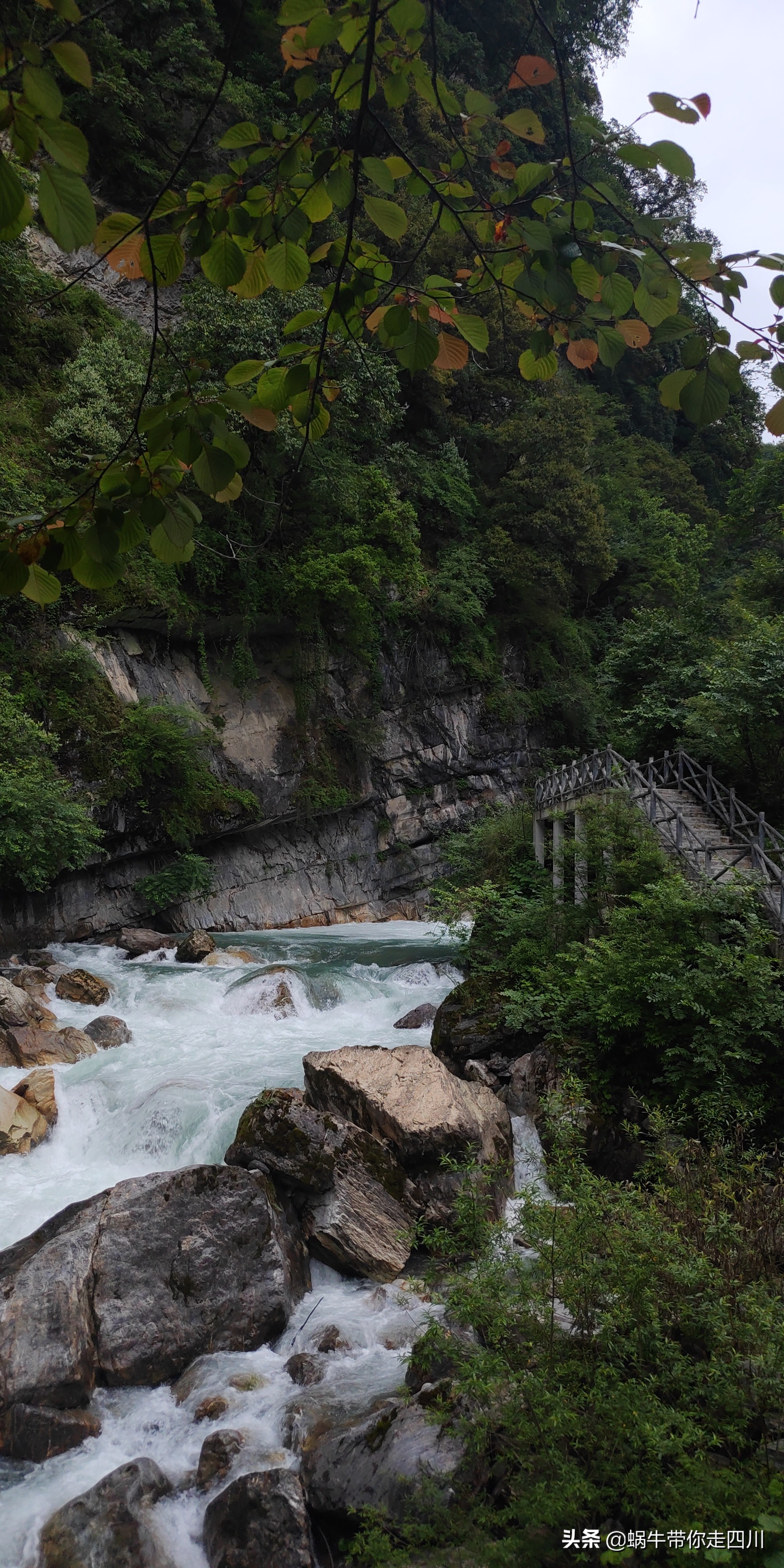 成都到西藏旅游一家三口,成都出发三天两夜旅行套票