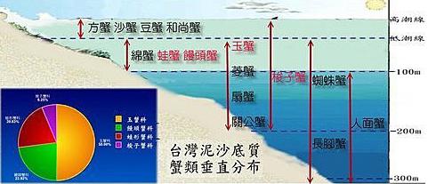 关于螃蟹的科普知识点,螃蟹的种类知识
