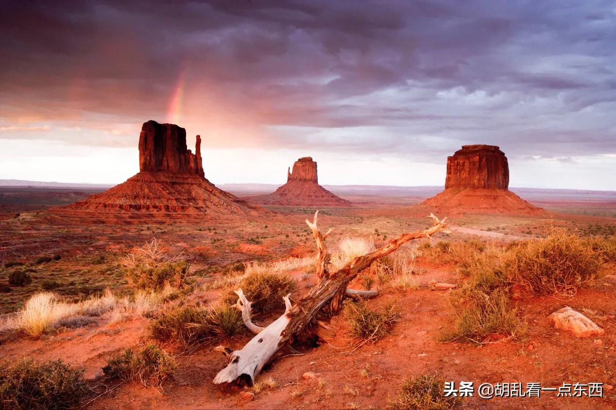 探访恐龙遗迹追寻恐龙,美国一公园发现恐龙世界恐龙足迹