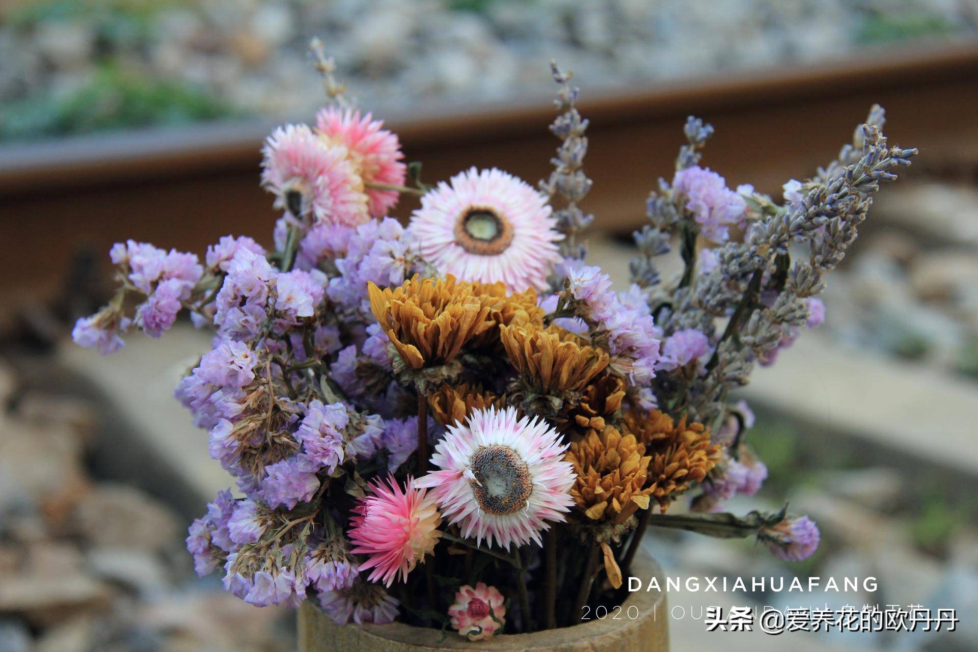 干花diy相框儿童,干花diy相框自制