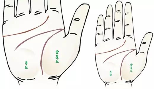 掌纹诊病图片,掌纹能查出糖尿病吗