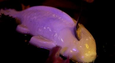 天津南开自助烤肉推荐,天津南开区美食烤肉推荐