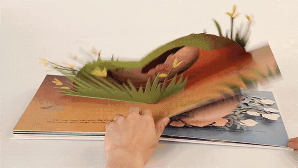 孩子性别教育的误区,什么时候教宝宝性别意识