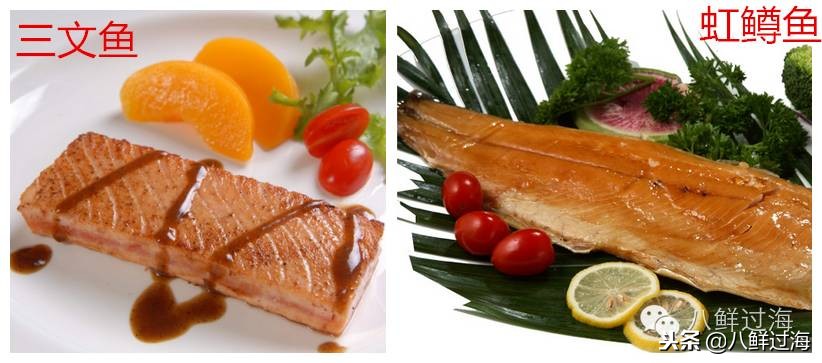 有人拿什么鱼冒充三文鱼,怎么分清楚真假三文鱼